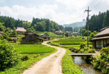 Village