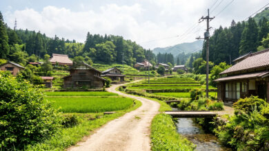 Village