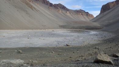 Antarctica