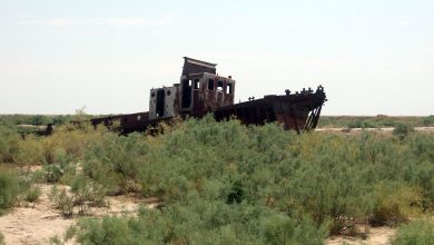 Aral Sea