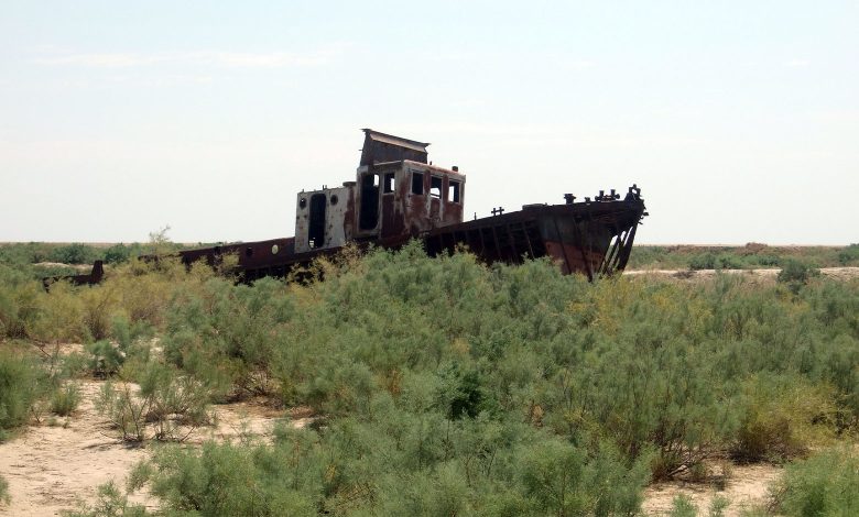 Aral Sea