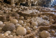 Cave