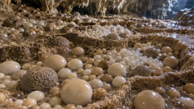Cave
