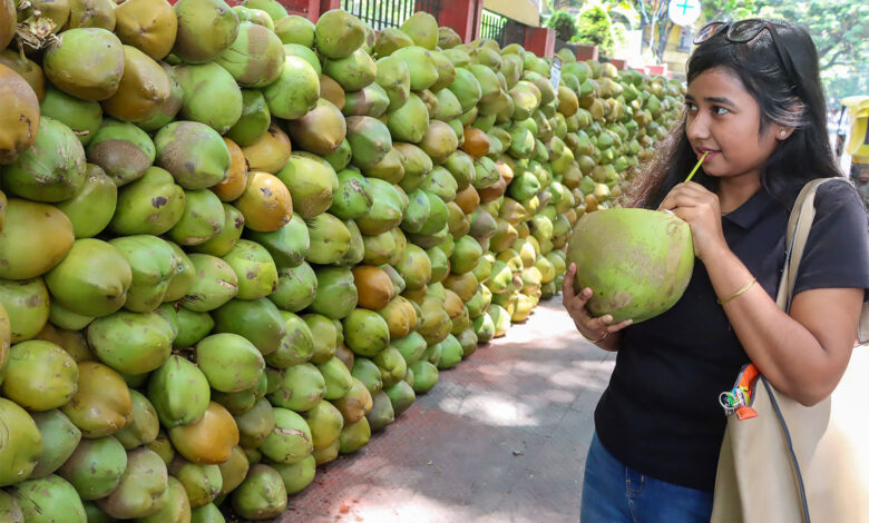 Coconut