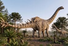 Dinosaur