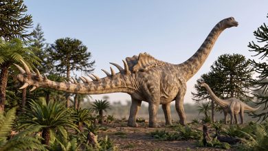 Dinosaur