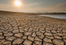 Drought