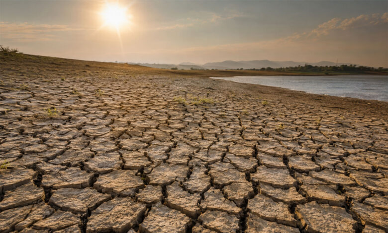Drought