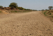 Drought