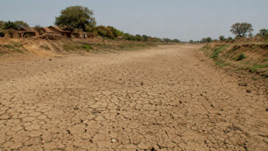 Drought