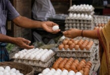Eggs