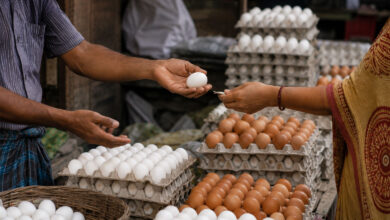 Eggs