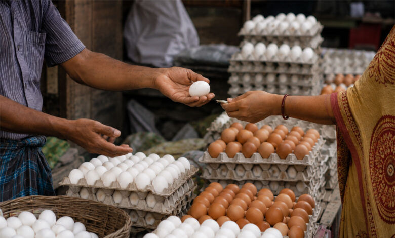 Eggs