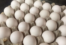 Eggs