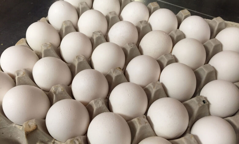 Eggs