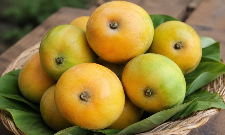 Mango