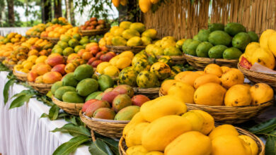 Mango
