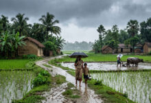 Monsoon
