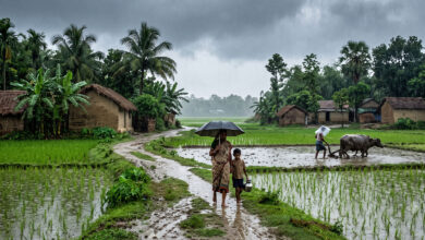 Monsoon
