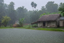 Monsoon