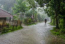Monsoon