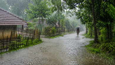 Monsoon