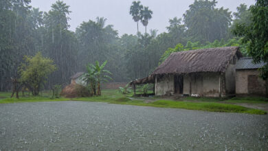 Monsoon
