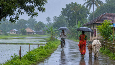 Monsoon
