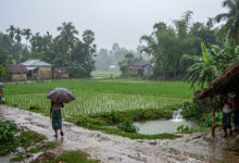 Monsoon
