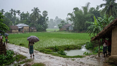 Monsoon