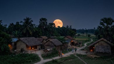 Village