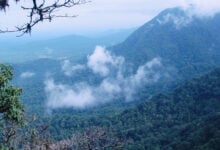 Agumbe