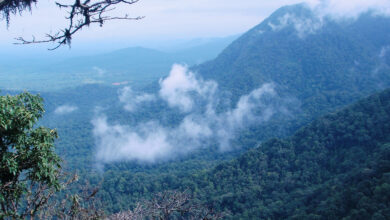 Agumbe