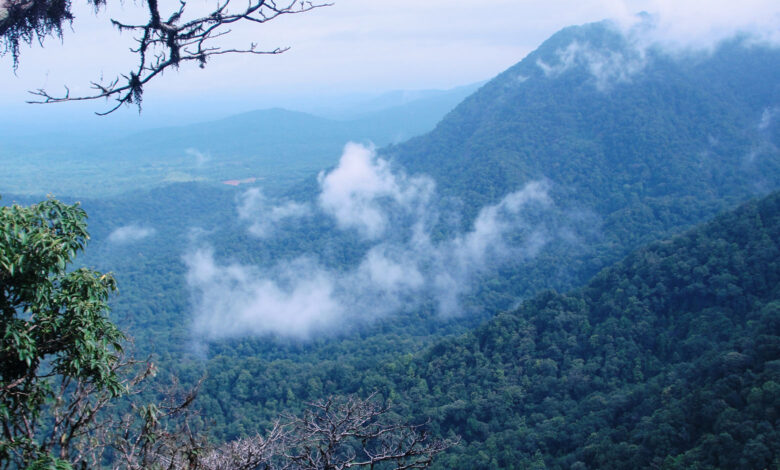 Agumbe