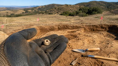 Archaeology