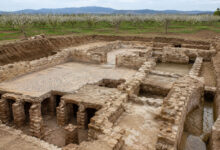 Archaeology