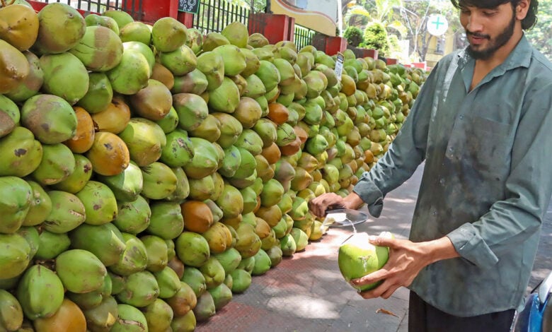 Coconut