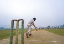 Cricket