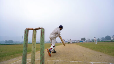 Cricket