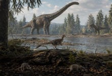 Dinosaur