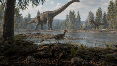 Dinosaur