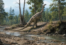 Dinosaur