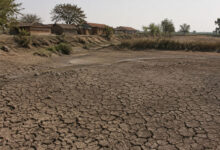 Drought