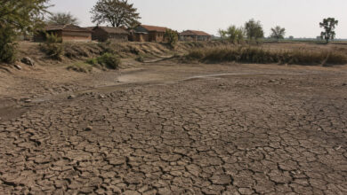 Drought