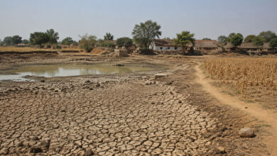 Drought