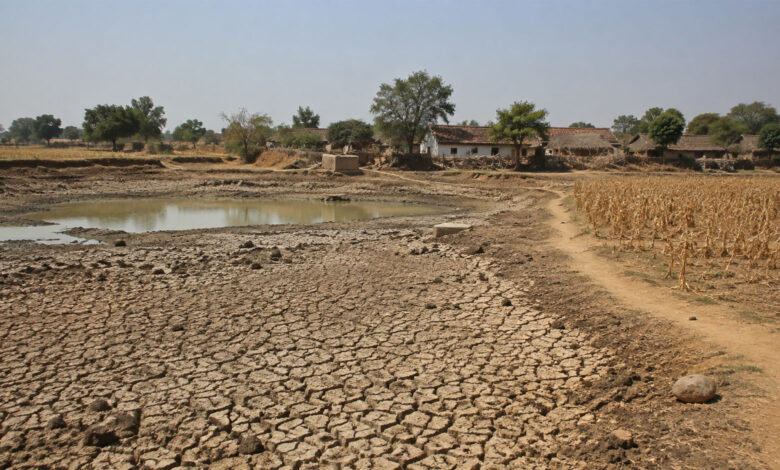 Drought
