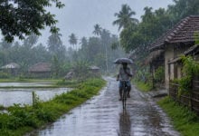 Monsoon