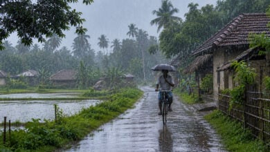 Monsoon