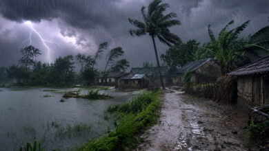 Monsoon