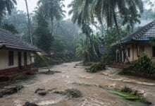 Monsoon